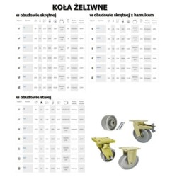 Koło żeliwne fi. 250 mm, otwór 20 mm  / 99Z
