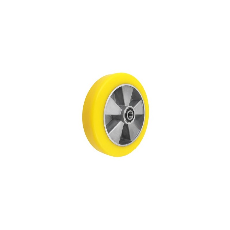 Koło fi. 250mm , N: 900kg, otwór 25mm / A90P/25