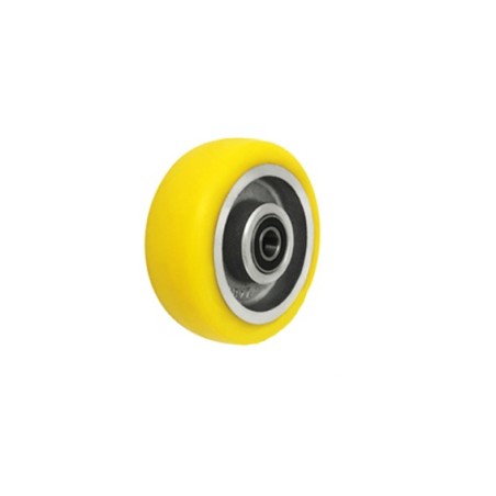 Koło fi. 100mm , NIERDZEWNE, N: 400kg, otwór 10mm / A10PLX